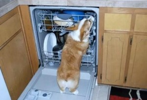洗碗基